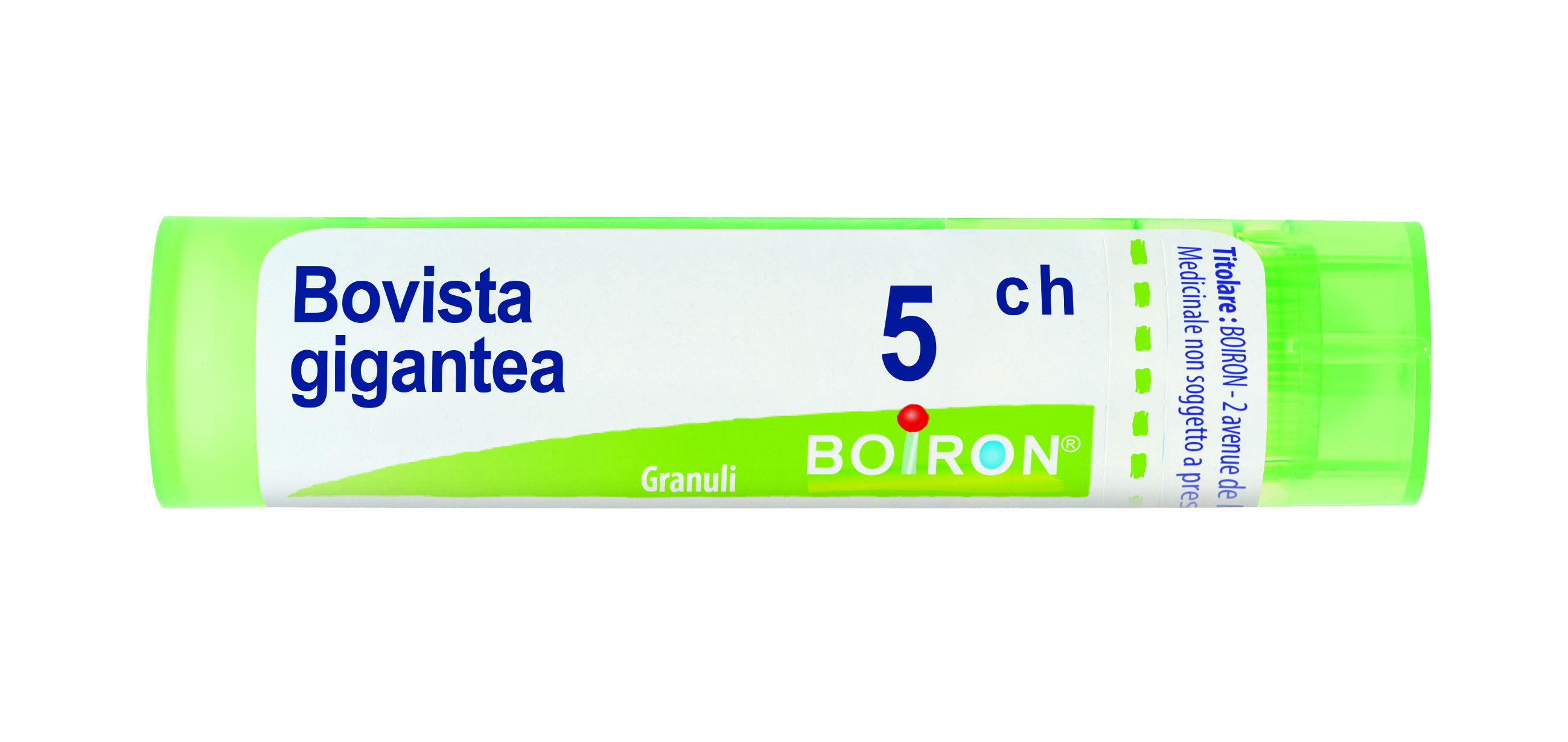 BOVISTA GIGANTEA*5CH 80GR 4G - Farmacia-flash.it