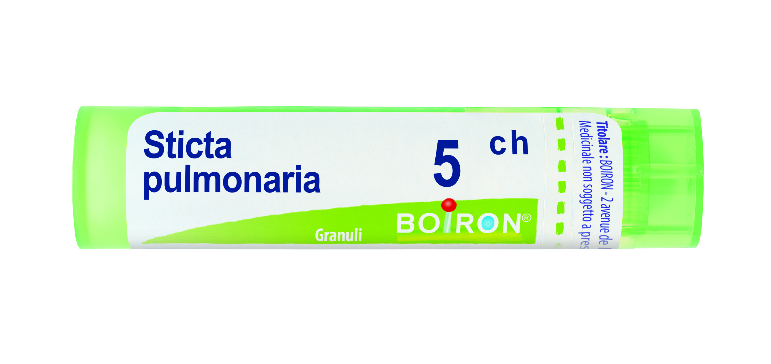 STICTA PULMONARIA*5CH 80GR 4G - Farmacia-flash.it
