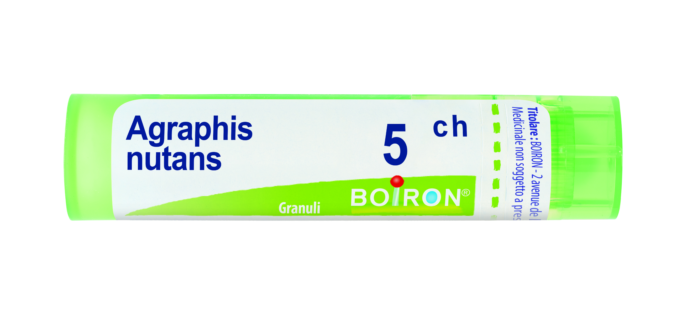 AGRAPHIS NUTANS*5CH 80GR 4G - Farmacia-flash.it