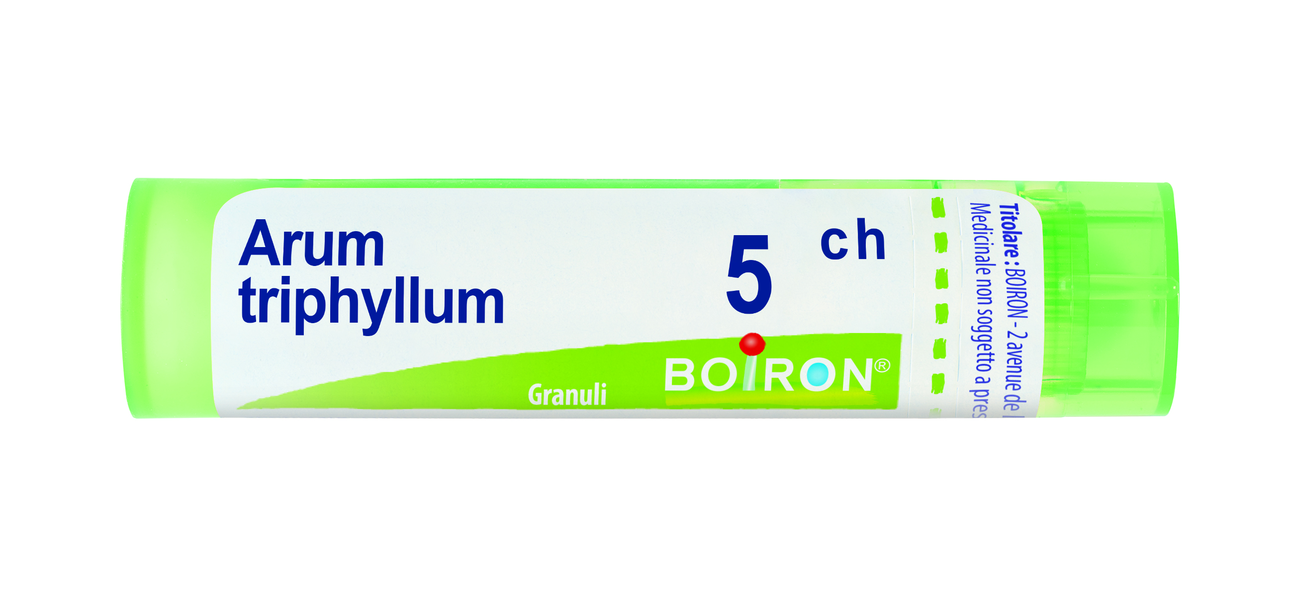 ARUM TRIPHYLLUM*5CH 80GR 4G - Farmacia-flash.it