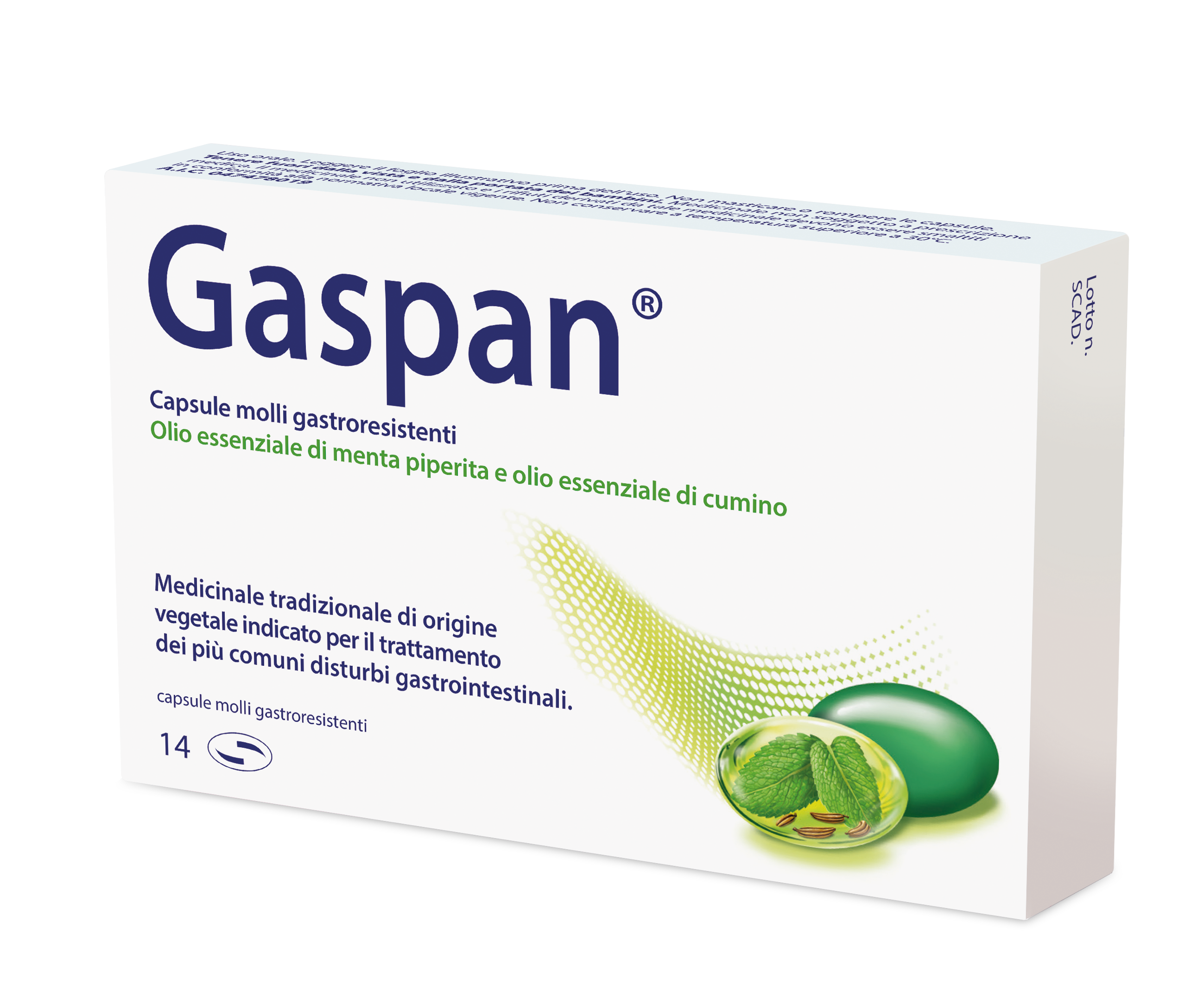 GASPAN*14CPS MOLLI GASTRORES - Farmacia-flash.it