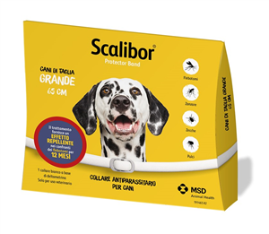 SCALIBOR PROTECTOR BAND*BI65CM - Farmacia-flash.it