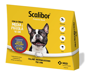 SCALIBOR PROTECTOR BAND*BI48CM - Farmacia-flash.it