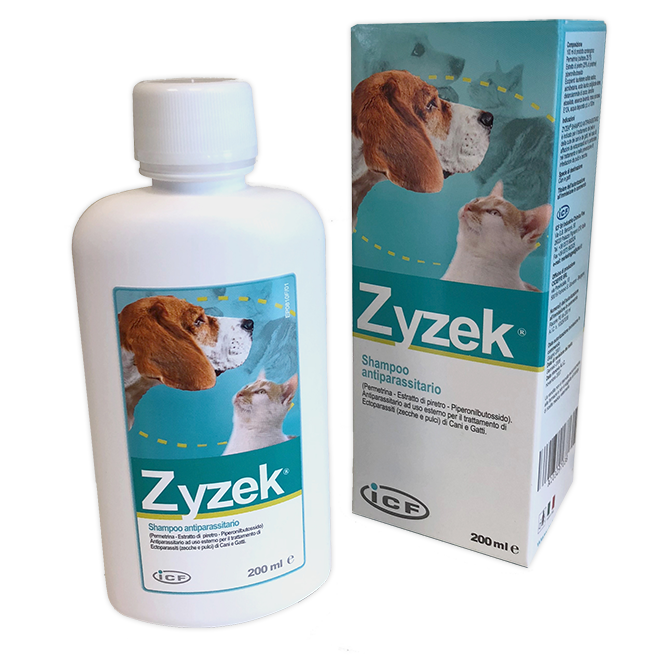 ZYZEK SHAMPOO ANT*FL PE 200ML - Farmacia-flash.it
