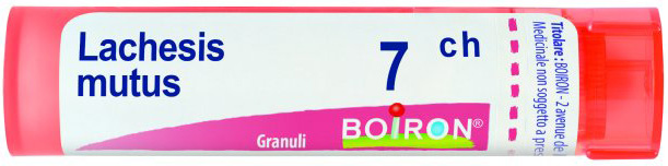 LACHESIS MUTUS 7 CH GRANULI - Farmacia-flash.it