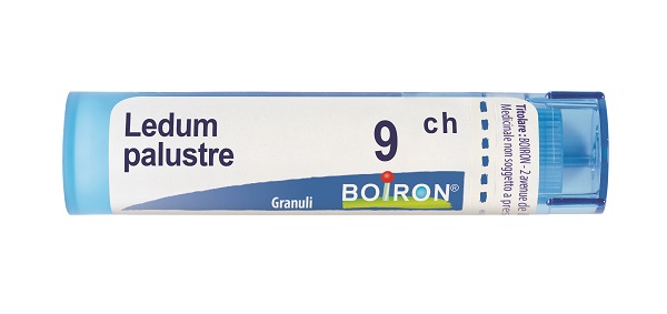 LEDUM PALUSTRE 9 CH GRANULI - Farmacia-flash.it