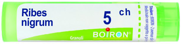 RIBES NIGRUM 5CH GRANULI - Farmacia-flash.it