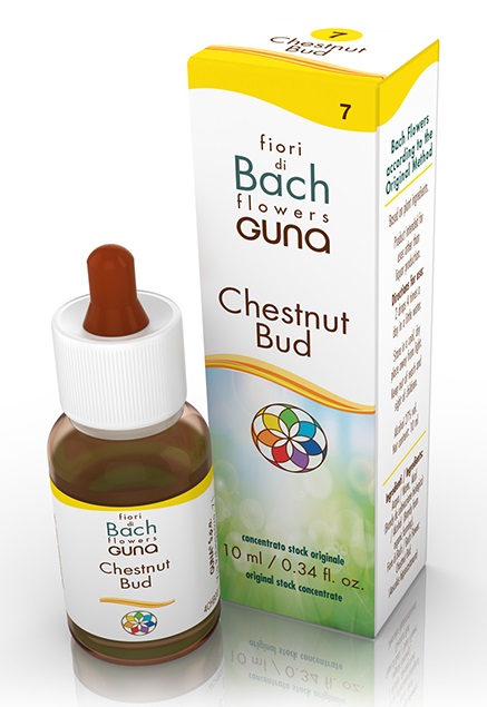CHESTNUT BUD GOCCE 10 ML - Farmacia-flash.it