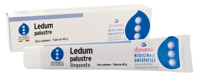 LEDUM PALUSTRE HOMEOPHARM UNGUENTO 40 G - Farmacia-flash.it