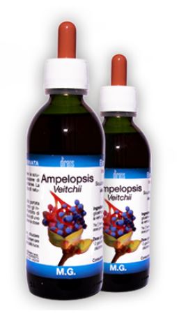 AMPELOPSIS VEITCHII MACERATO GLICERICO 50 ML - Farmacia-flash.it
