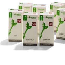 FICO RADICHETTE 100ML MG - Farmacia-flash.it