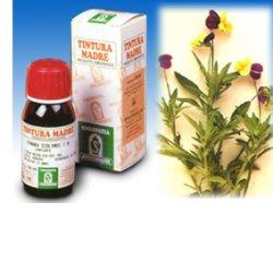 VIOLA DEL PENSIERO 32 50ML TM - Farmacia-flash.it