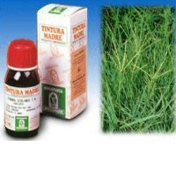 GRAMIGNA 37 50ML TM - Farmacia-flash.it