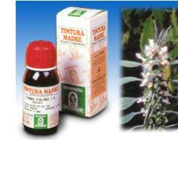 CARDIACA 16 50ML TM - Farmacia-flash.it