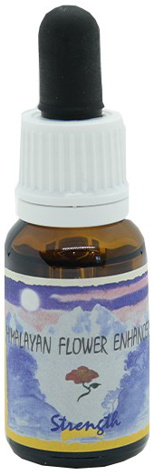 STRENGTH ESSENZA 15 ML 1 PEZZO - Farmacia-flash.it