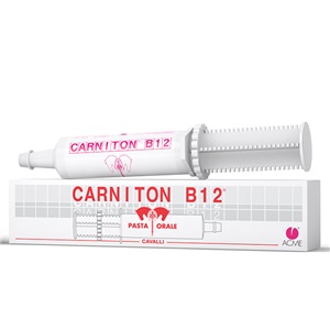 CARNITON B 12 PASTA 1 SIRINGA 100 G - Farmacia-flash.it