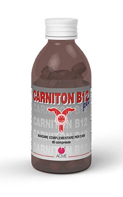 CARNITON B 12 80 COMPRESSE - Farmacia-flash.it