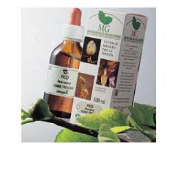 LAMPONE 100 ML GM - Farmacia-flash.it