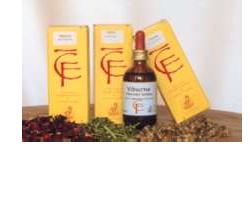 RIBES GEMME 100ML MG - Farmacia-flash.it