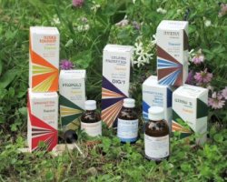 RAEMIL A1 LAVANDA COMPOSTO 100 ML - Farmacia-flash.it