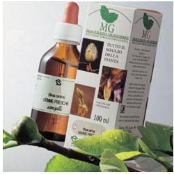 BETULLA 100ML MG - Farmacia-flash.it