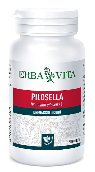PILOSELLA 60 CAPSULE 400 MG - Farmacia-flash.it