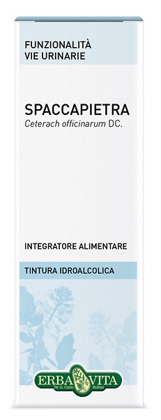 SPACCAPIETRA TINTURA IDROALCOLICA 50 ML EBV - Farmacia-flash.it