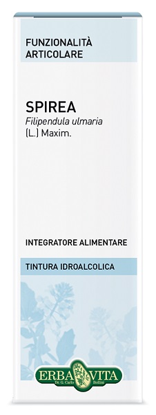 SPIREA ULMARIA TINTURA IDROALCOLICA 50 ML EBV - Farmacia-flash.it