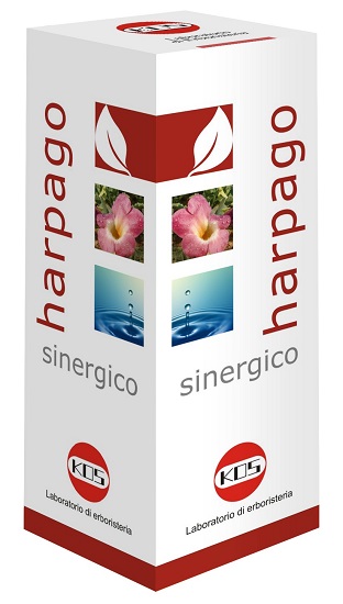 HARPAGO SINERGICO GOCCE 100 ML - Farmacia-flash.it