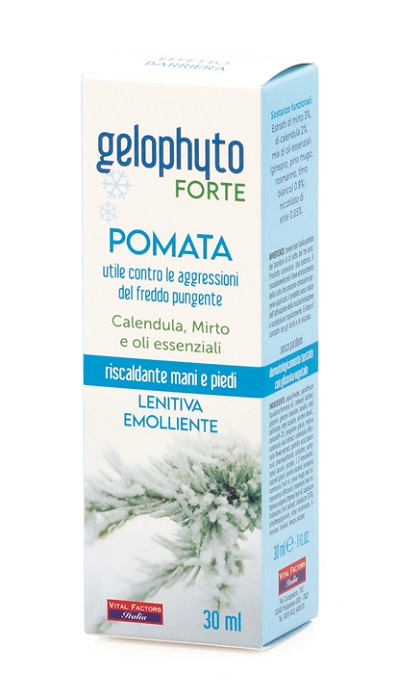GELOPHYTO FT POM 30ML - Farmacia-flash.it
