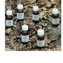 ZECALM OLIO MASSAGGIO 50 ML - Farmacia-flash.it