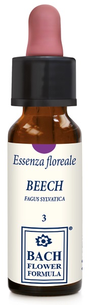 BEECH ORIGINAL 10ML GTT - Farmacia-flash.it
