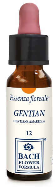 GENTIAN ORIGINAL 10 ML GOCCE - Farmacia-flash.it