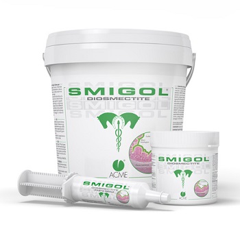 SMIGOL PASTA 1 SIRINGA 100 G - Farmacia-flash.it