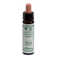 AINSWORTHS BEECH 10ML - Farmacia-flash.it