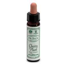 AINSWORTHS CHERRY PLUM 10ML - Farmacia-flash.it
