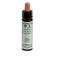 AINSWORTHS ELM 10ML - Farmacia-flash.it