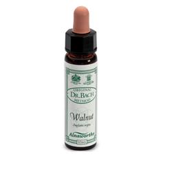 AINSWORTHS WALNUT 10ML - Farmacia-flash.it