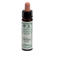 AINSWORTHS WILLOW 10ML - Farmacia-flash.it
