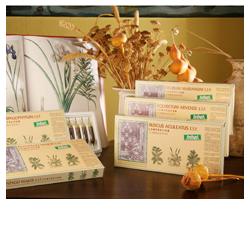 SILYBUM MAR COMP 12F STV - Farmacia-flash.it