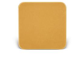 BARRIERA CUTANEA INTERAMENTE IN STOMAHESIVE PER LA PROTEZIONE DELL'AREA PERISTOMALE PLACCA STOMAHESIVE 10X10CM 5 PEZZI - Farmacia-flash.it