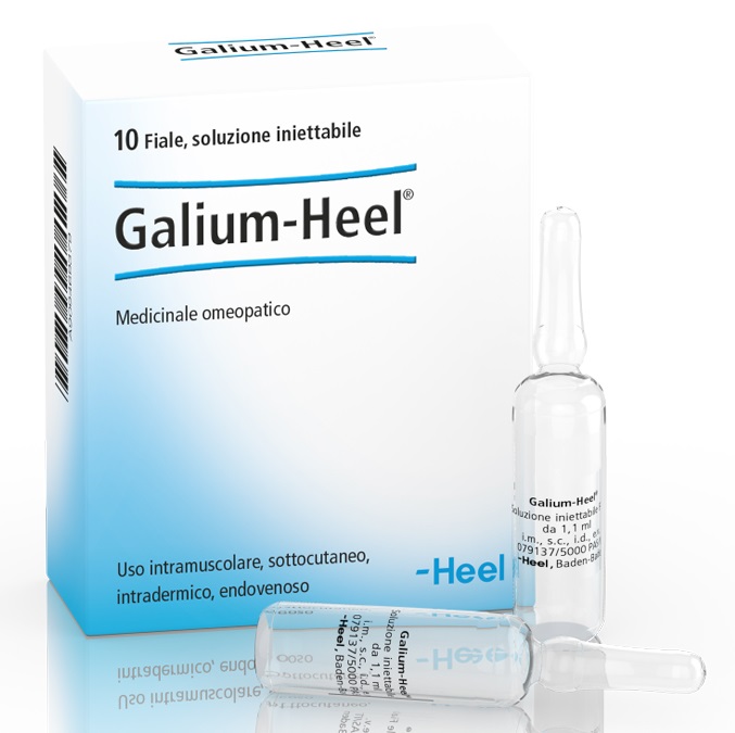 HEEL GALIUM 10 FIALE DA 1,1 ML L'UNA - Farmacia-flash.it