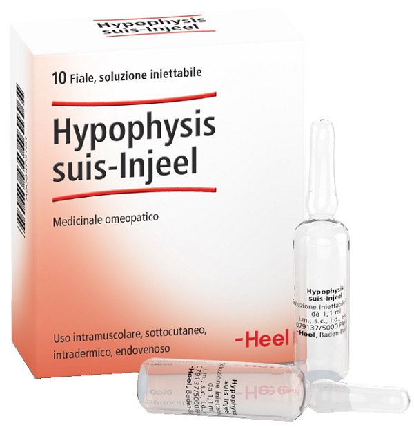 HEEL HYPOPHYSIS SUIS INJEEL 10 FIALE - Farmacia-flash.it