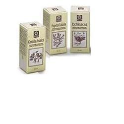 NEPETA CATARIA ESTRATTO ANALCOLICO 50 ML - Farmacia-flash.it