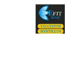 VACCINIUM MYRTILLUS ESTRATTO FLUIDO 30 ML - Farmacia-flash.it