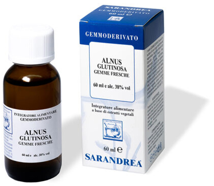ALNUS GLUTINOSA 100 ML MACERATO GLICERICO - Farmacia-flash.it