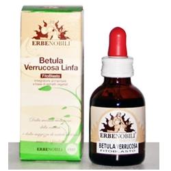 FITOBLASTO BETULLA VERRUCOSA LINFA 50 ML - Farmacia-flash.it