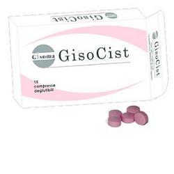 GISOCIST 15 COMPRESSE DEGLUTIBILI - Farmacia-flash.it