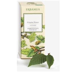 BETULA VERRUCOSA LINFA GEMMODERIVATO BIO 50 ML - Farmacia-flash.it
