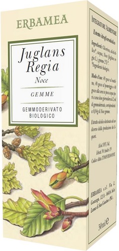 JUGLANS REGIA NOCE BIO 50 ML - Farmacia-flash.it
